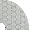 Круги алмазні полірувальні Круг 100x3x15 CleanPad #400